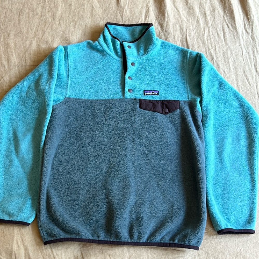 Patagonia synchilla fleece